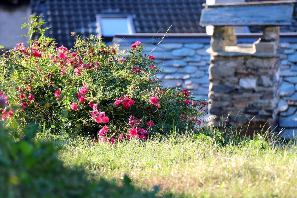 Hotel Ostello Del Castello Tirano Zewnętrze zdjęcie